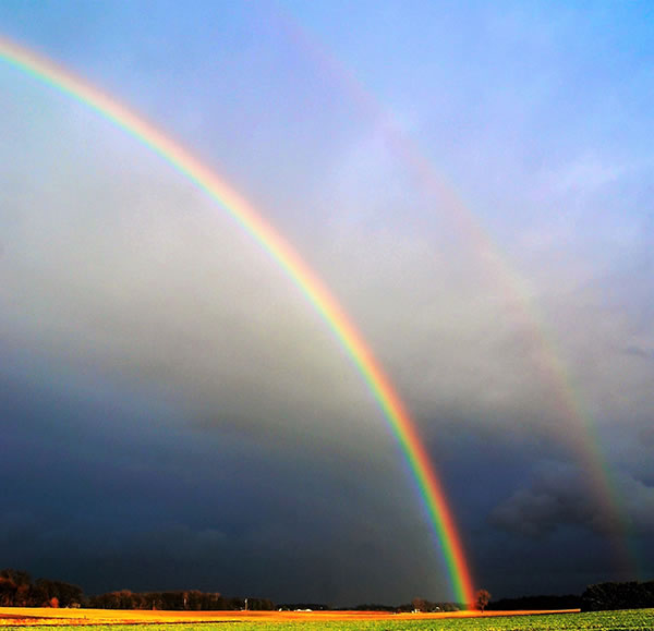 How the Colours of the Rainbow Came Together
